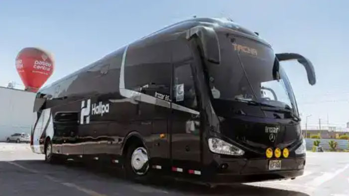 Buses de 1 Piso